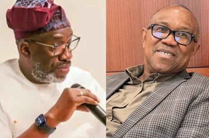 2027; Anybody Who Attempts To Release Results And Declare Winners Other Than INEC Would Be Taken For Treason — Segun Sowunmi Warns Peter Obi And Other Politicians